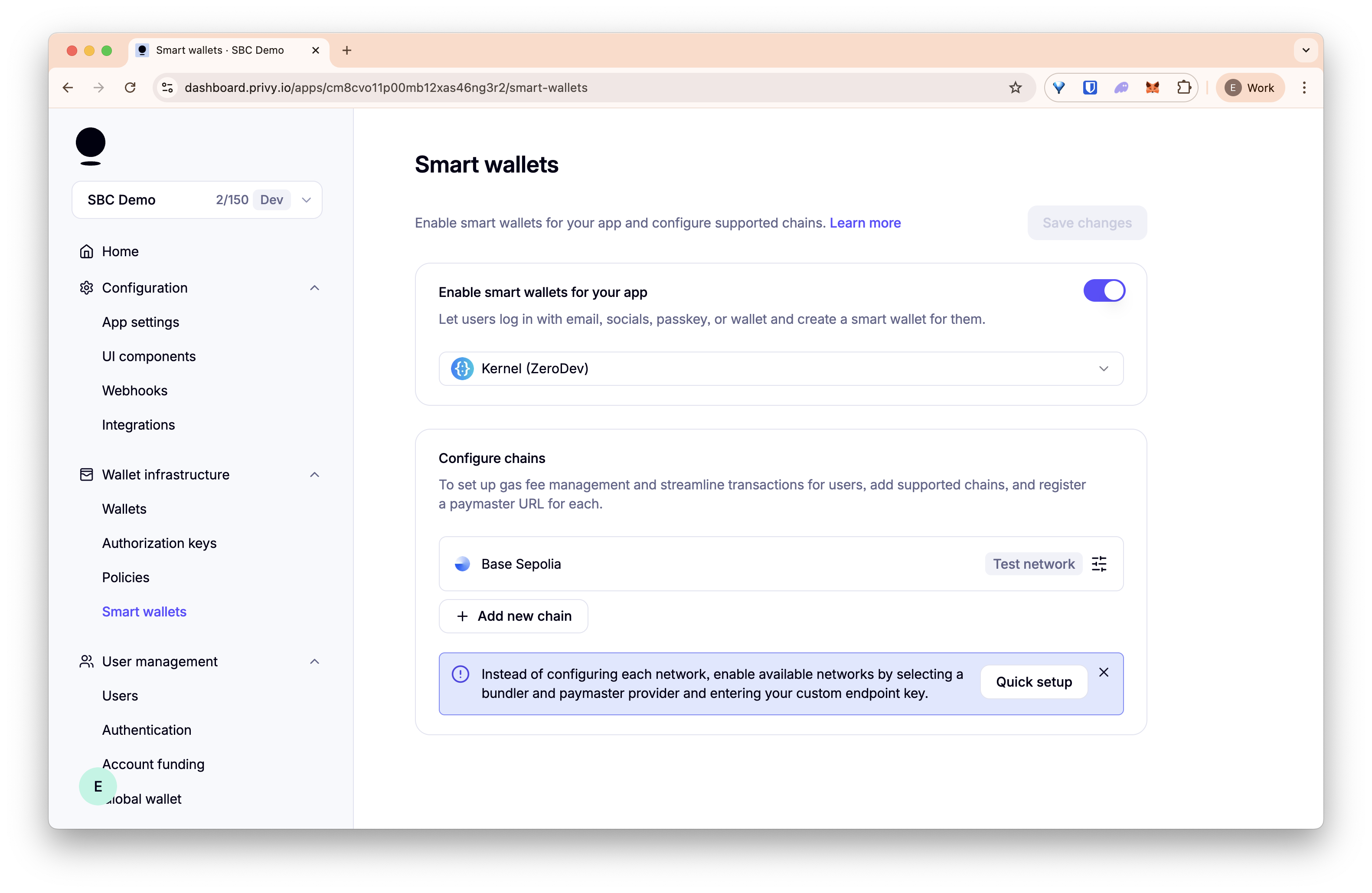 Privy Smart Wallet Setup